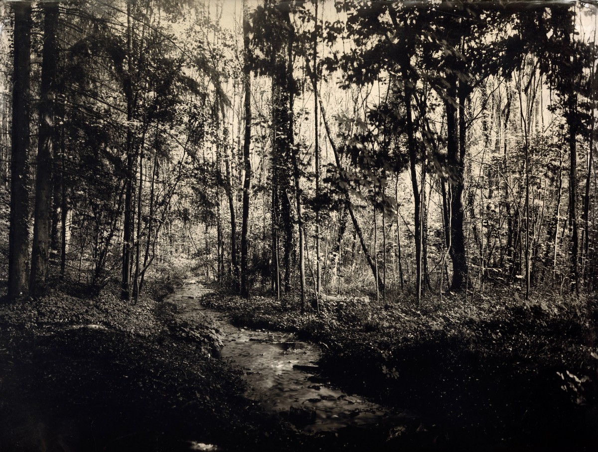 Eric Antoine photo Frénésie du Silence Gorze 