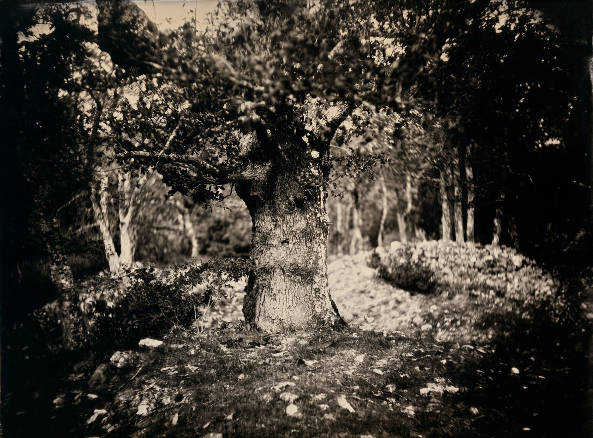 Éric Antoine photo Frénésie du Silence Opedette 