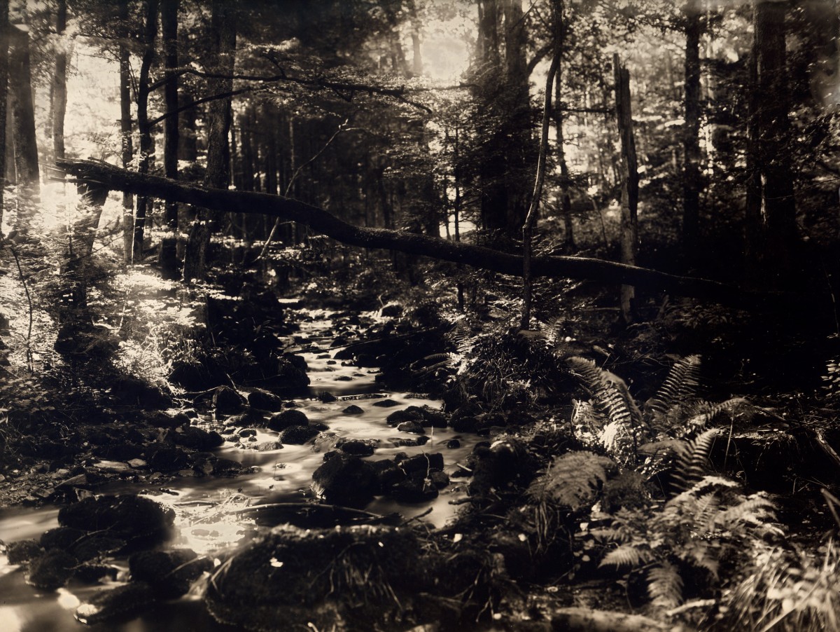 Éric Antoine photo Frénésie du Silence La Magel 