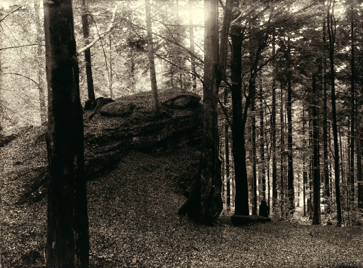 Éric Antoine photo Le Complexe de la Simplicité La grotte 