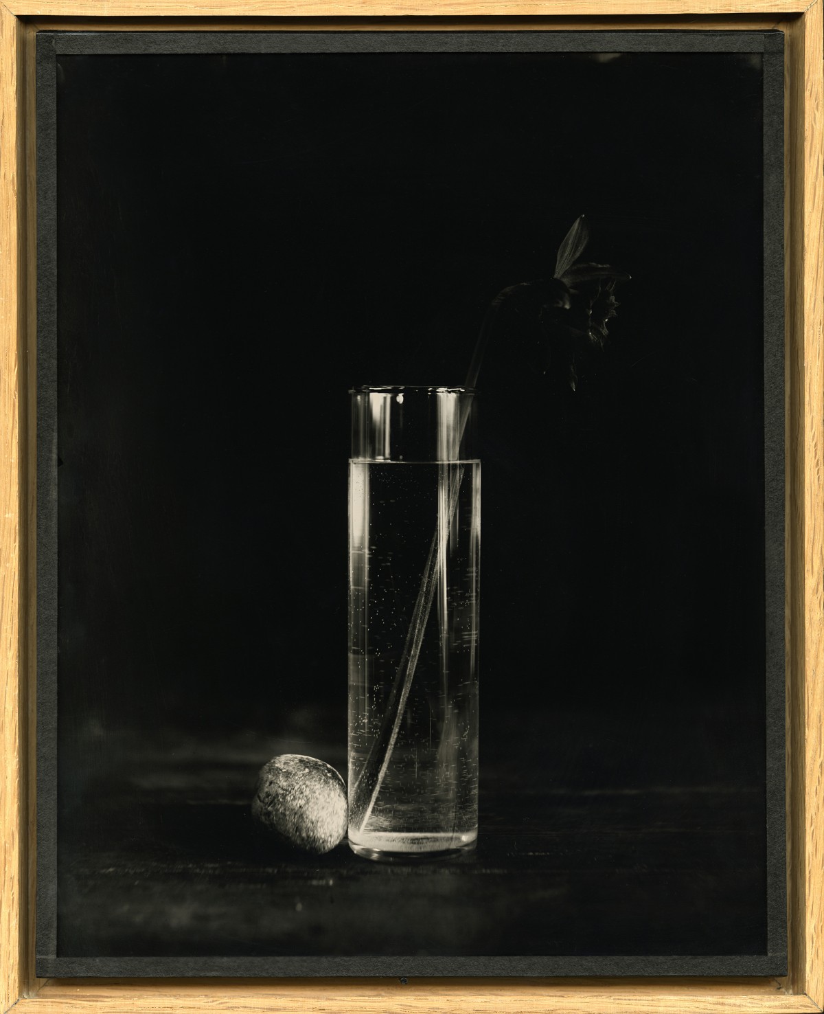 Éric Antoine photo Drowning Flowers Drowning Flowers XII Recto 2021
